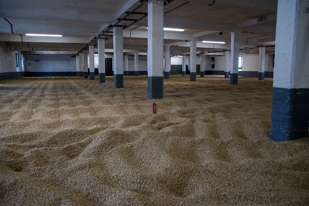 Malted Grain